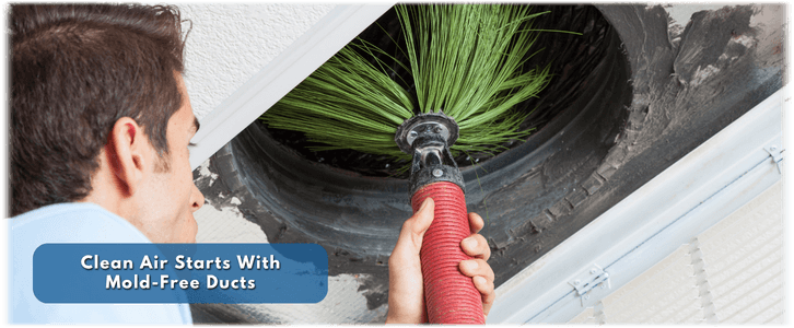 Air Duct Mold Removal in Schaumburg IL