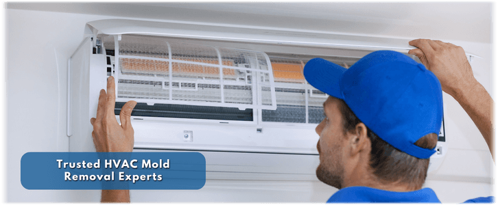HVAC Mold Removal Schaumburg IL